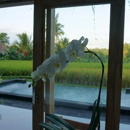 Dukuh Ubud Villa #1 Ricefield View
